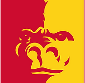 Bishop McGuiness High School Football